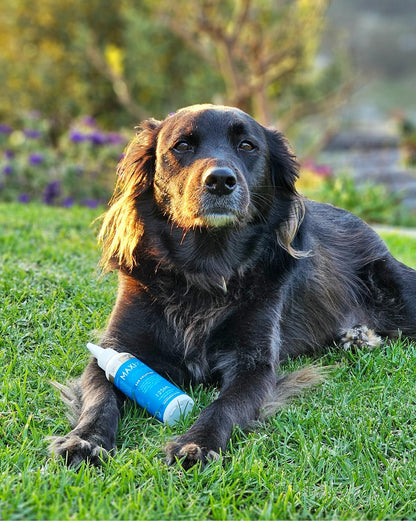 MaxiEar™ Veterinary Ear Solution